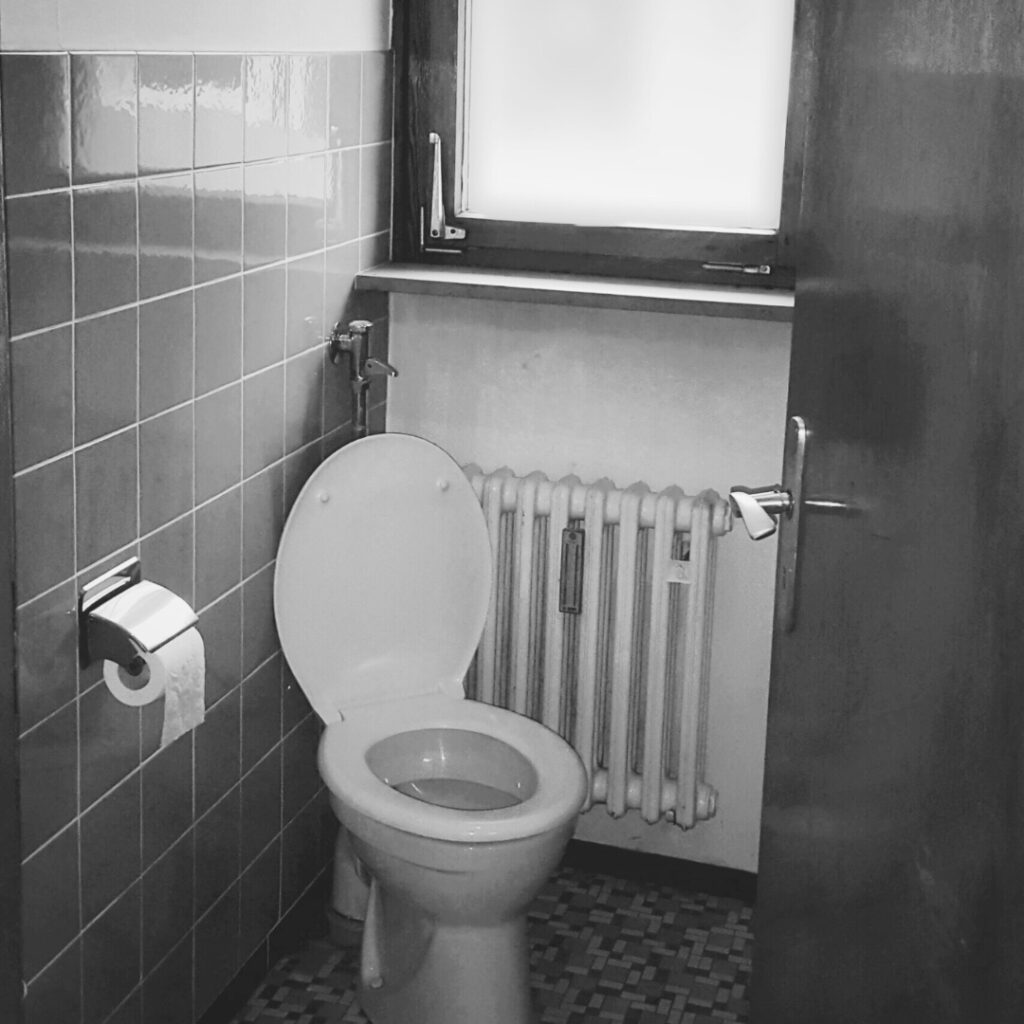 Gäste WC im Altbau vor der Sanierung